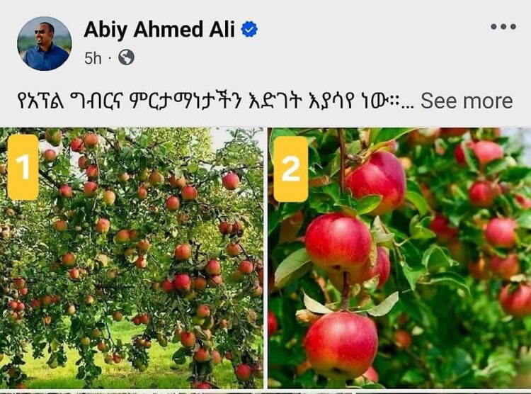 ለጠ/ሚ አብይ የደረሰው የተሰሳሳተ የአፕል ምርት ሪፖርት