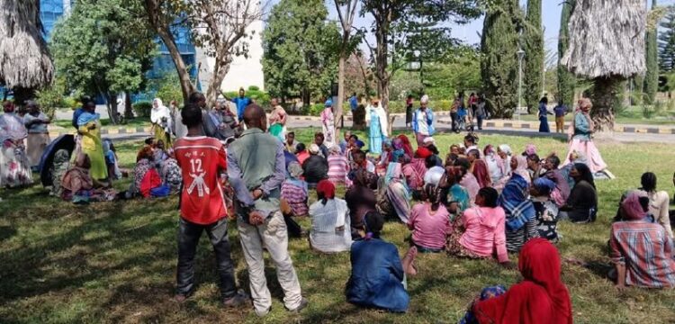 ከ750 በላይ የሀዋሳ ዩኒቨርስቲ ሠራተኞች በተቋሙ ከስራ ‘እንደሚሰናበቱ መገለጹና 5 ሠራተኞች መታሰራቸው’ ቅሬታ አስነሳ በማህ…