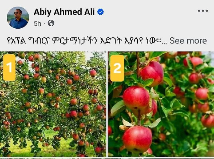 ጠ/ሚንስትሩ ያጋሩት ፎቶ ከአንተርኔት ላይ የተወሰዱ ናቸውበጠቅላይ ሚኒስትሩ የማህበራዊ ሚድያ ገፆች ላይ የሚታዩት የአፕል ምስሎ…