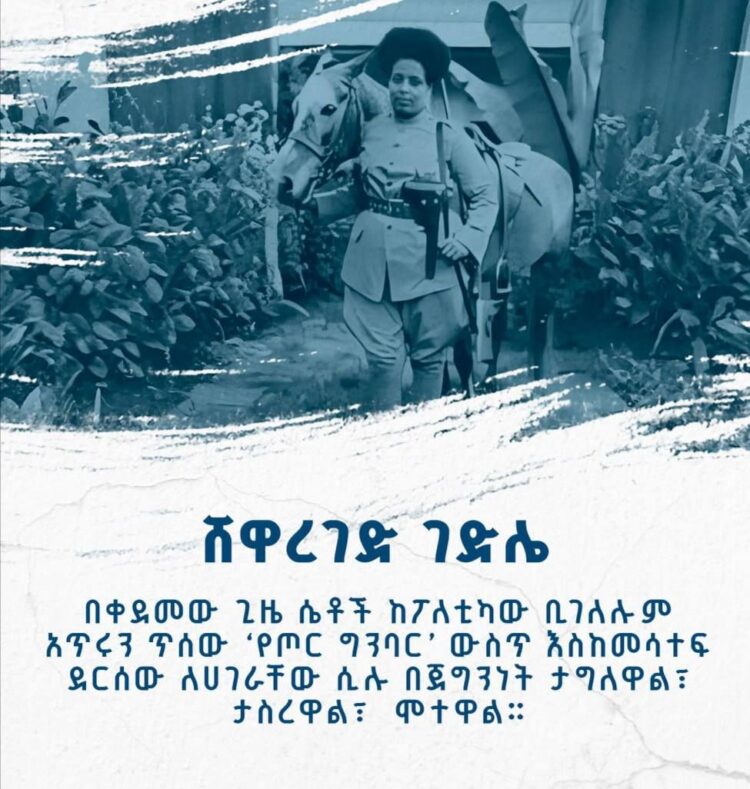 ሸዋረገድ ገድሌ – የሀገር ጋሻ