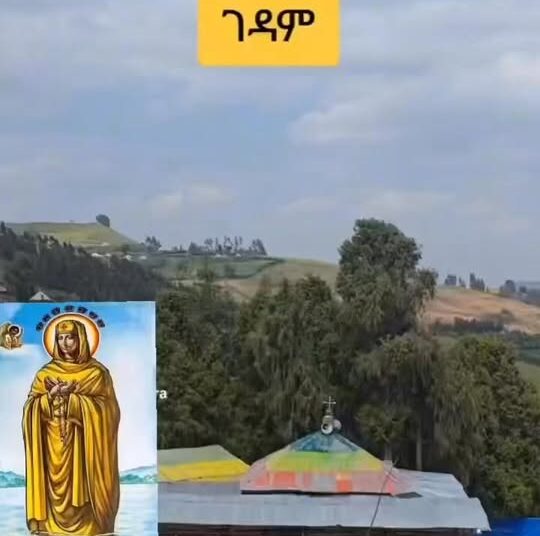 6ኛ ዙር ጉዞአን   እሁድ ታህሳስ 12