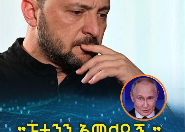 “ፑቲንን አማልዱኝ ” ዘለንስኪ