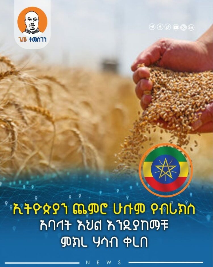 ኢትዮጵያን ጨምሮ ሁሉም የብሪክስ አባላት እህል እንዲያከማቹ ምክረ ሃሳብ ቀረበ