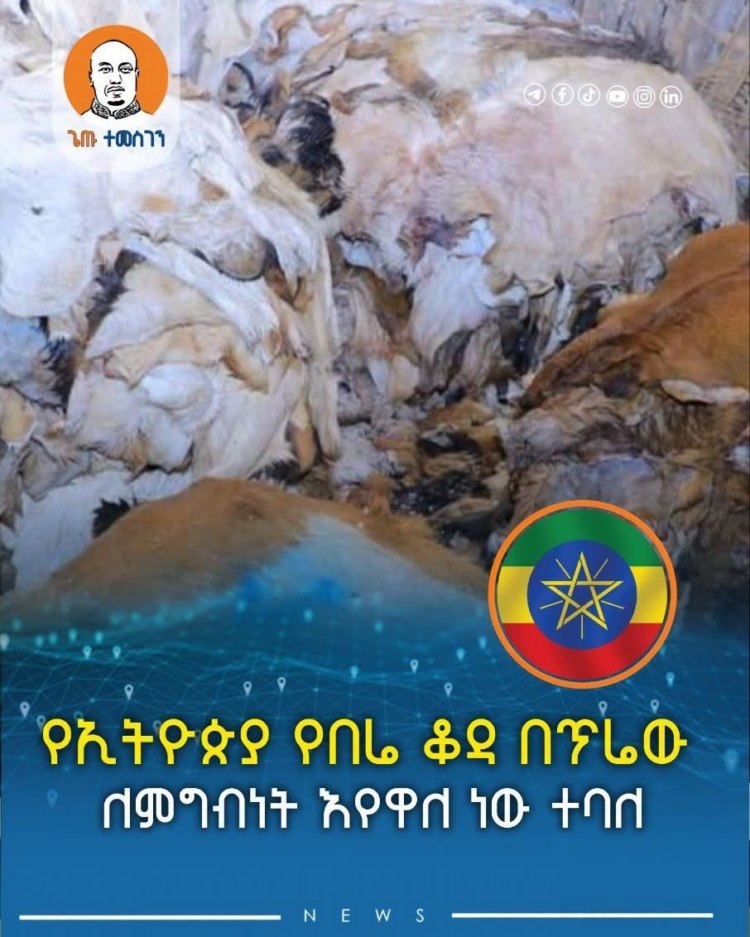የኢትዮጵያ የበሬ ቆዳ በጥሬው ለምግብነት እየዋለ ነው ተባለ