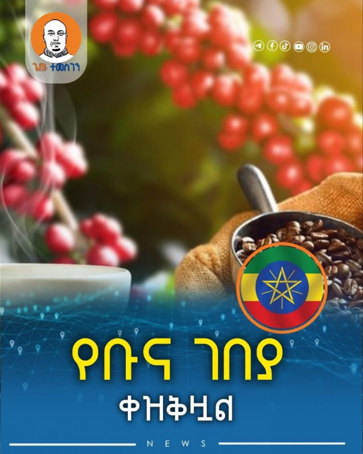 የቡና ገበያ ቀዝቅዟል