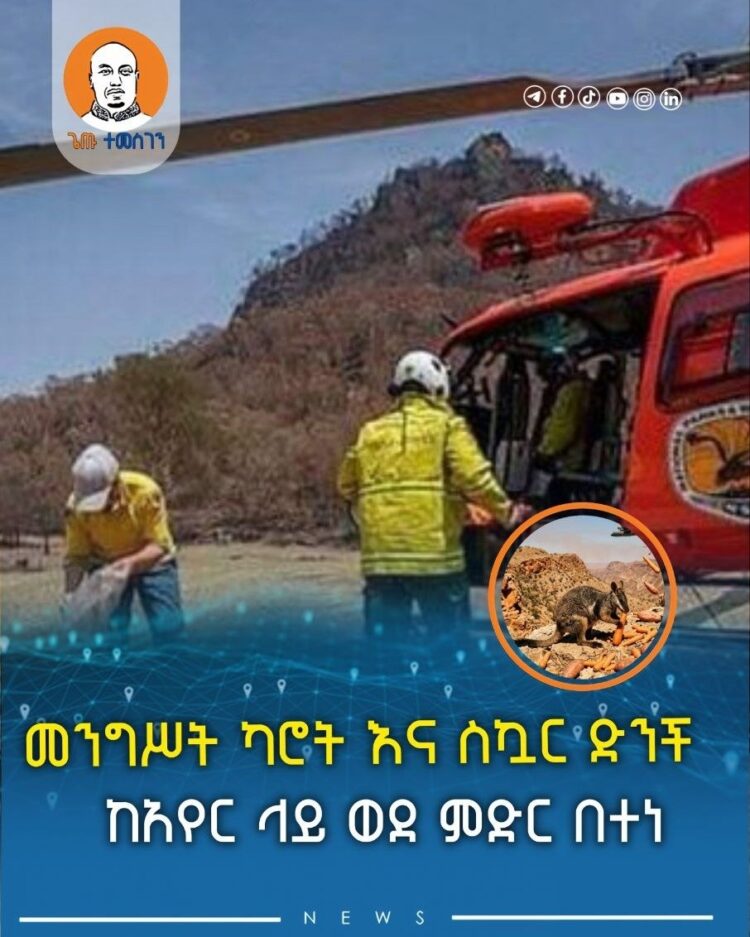 መንግሥት ካሮት እና ስኳር ድንች ከአየር ላይ ወደ ምድር በተነ