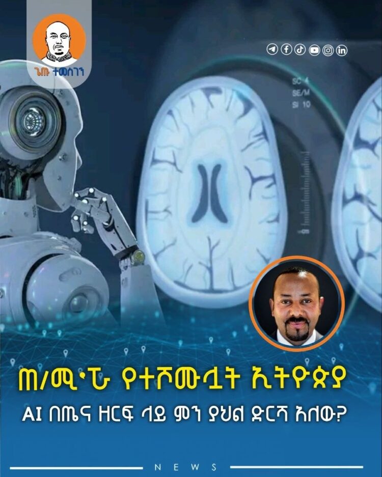 ጠ/ሚ’ሯ የተሾሙሏት ኢትዮጵያ AI በጤና ዘርፍ ላይ ምን ያህል ድርሻ አለው?