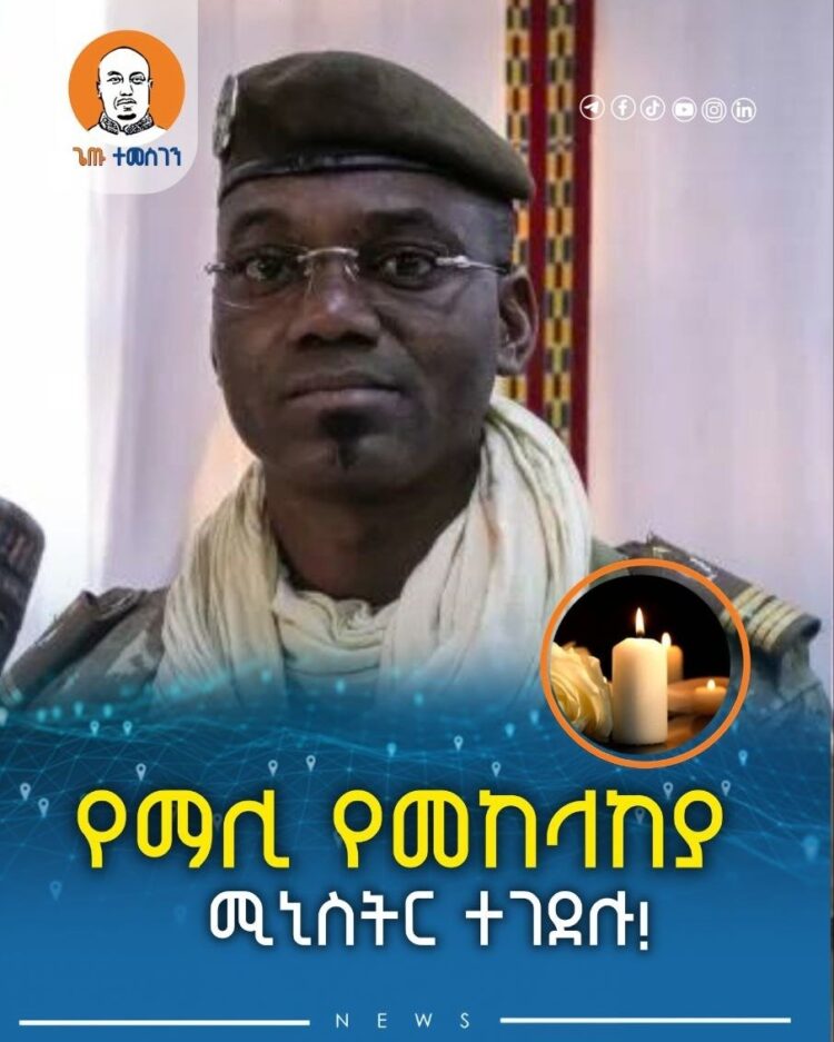 የማሊ የመከላከያ ሚኒስትር ተገደሉ!