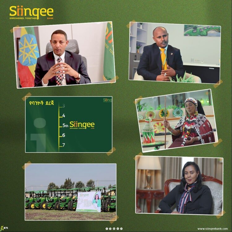 የሲንቄ ባንክ አስደናቂ ጉዞ እና ወቅታዊ ቁመና