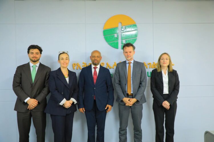 የኢትዮጵያ ኤሌክትሪክ አገልግሎት ከኤ.ኤፍ.ዲ ጋር ውይይት አካሔደ