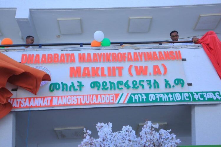 መክሊት ማይክሮ ፋይናንስ የሩብ ክፍለ ዘመን ጉዞውን እያከበረ ነው