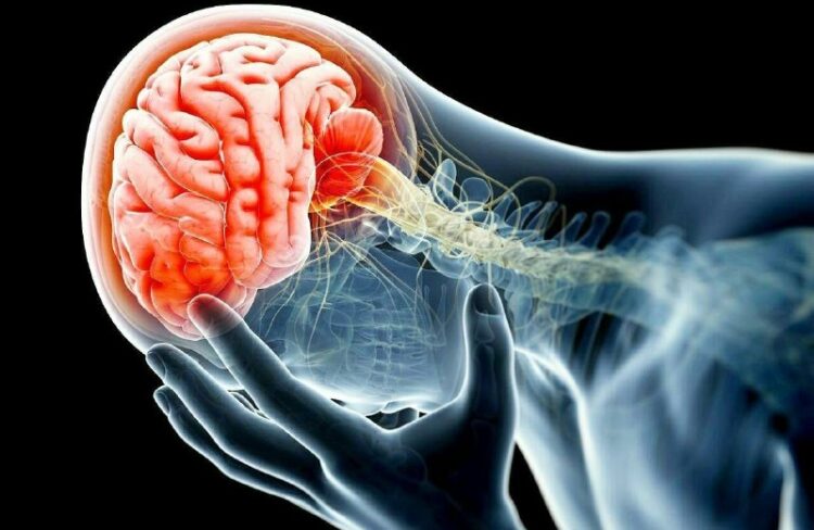 አንጎልን የሚጎዱ ልምዶችአንጎልዎ በጣም አስፈላጊ የሰውነትዎ ክፍል እንደሆነ ግልጽ ነው። ከሰውነትዎ ትላልቅ አካላት አንዱ ሲሆን…