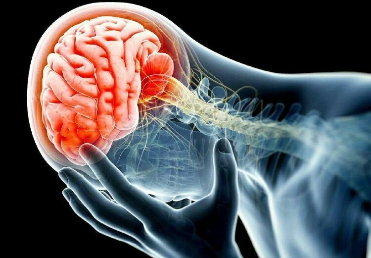 አንጎልን የሚጎዱ ልምዶችአንጎልዎ በጣም አስፈላጊ የሰውነትዎ ክፍል እንደሆነ ግልጽ ነው። ከሰውነትዎ ትላልቅ አካላት አንዱ ሲሆን…