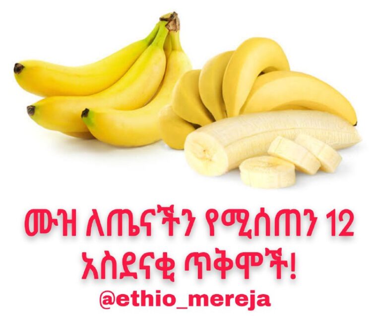 #ጤናመረጃሙዝ ለጤናችን የሚሰጠን 12 አስደናቂ ጥቅሞች!ሙዝ በንጥረ ነገር ይዘታቸው ከበለፀጉ ፍራፍሬዎች አንድ ሲሆን በውስጡ በ…