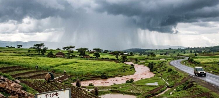 በኢትዮጵያ የተለያዩ አካባቢዎች መደበኛና ከመደበኛ በላይ የሆነ የበልግ ዝናብ እንደሚቀጥል ተገለጸበተለያዩ የሀገሪቱ ክፍሎች የጀ…