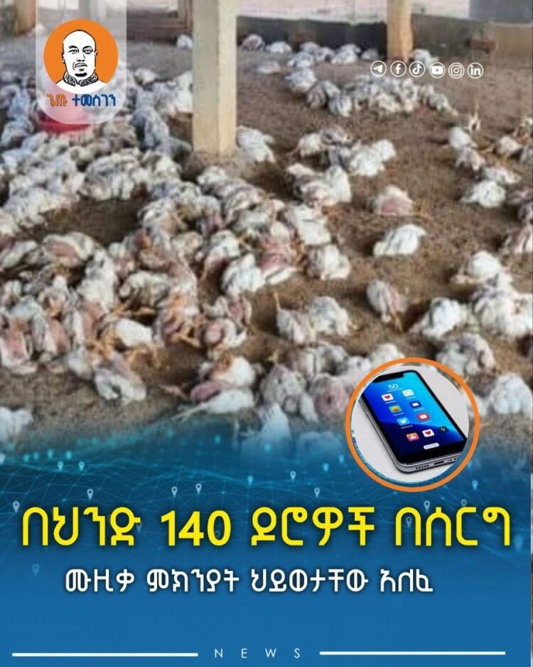በህንድ 140 ዶሮዎች በሰርግ ሙዚቃ ምክንያት ህይወታቸው አለፈ