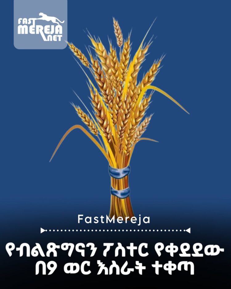 የብልጽግናን ፖስተር የቀደደው በ9 ወር እስራት ተቀጣ
