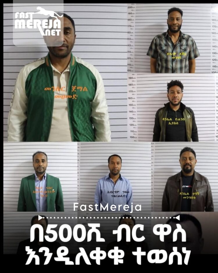 በፊንቴክ ኢንቨስትመንት ማጭበርበር የተጠረጠሩ አርቲስቶች እና ቲክቶከሮች በዋስ እንዲፈቱ ተወሰነ