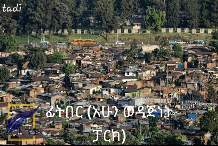 የቀድሞ ፊትበር