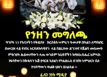 በጣና ሐይቅ ላይ በደረሰ የጀልባ መገልበጥ አደጋ የሰው ሕይወት አለፈ