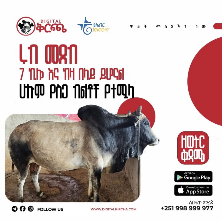 ጤናማ፣ ፍሬሽ እና 1ኛ ደረጃ የበሬ ቅርጫ በዲጂታል ቅርጫ!