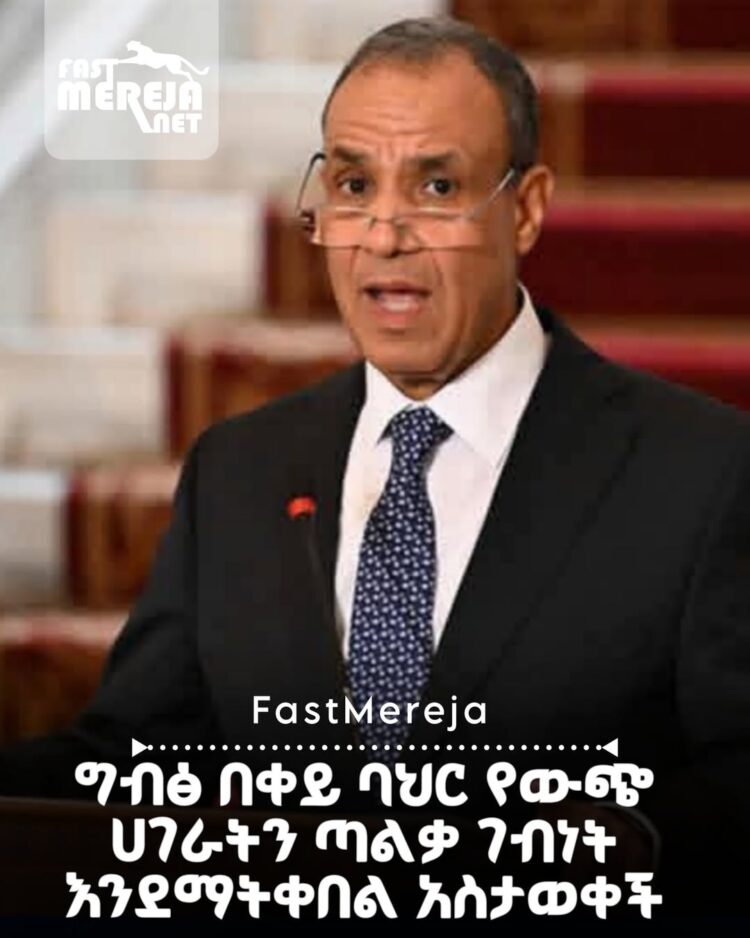 ግብፅ በቀይ ባህር ደህንነት ጉዳይ የውጭ ሀገራትን ጣልቃ ገብነት እንደማትቀበል አስታወቀች