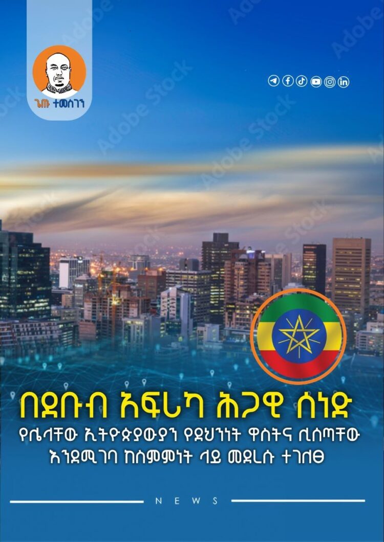 በደቡብ አፍሪካ ሕጋዊ ሰነድ የሌላቸው ኢትዮጵያውያን የደህንነት ዋስትና ሊሰጣቸው እንደሚገባ ከስምምነት ላይ መደረሱ ተገለፀ