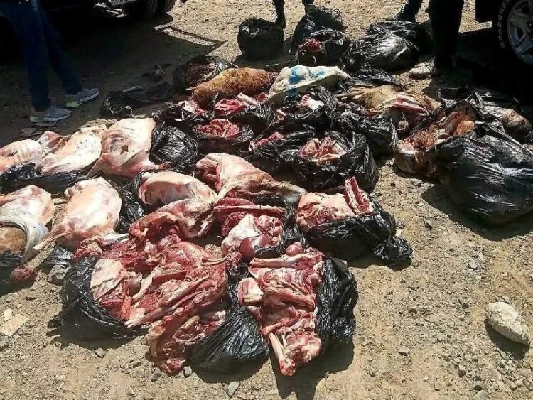 በንፋስ ስልክ ላፍቶ ክፍለ ከተማ በህ-ወጥ መንገድ ለገበያ ሊቀርብ የተዘጋጀ ስጋ ተያዘ​በአዲስ አበባ ከተማ ደንብ ማስከበር ባለ…