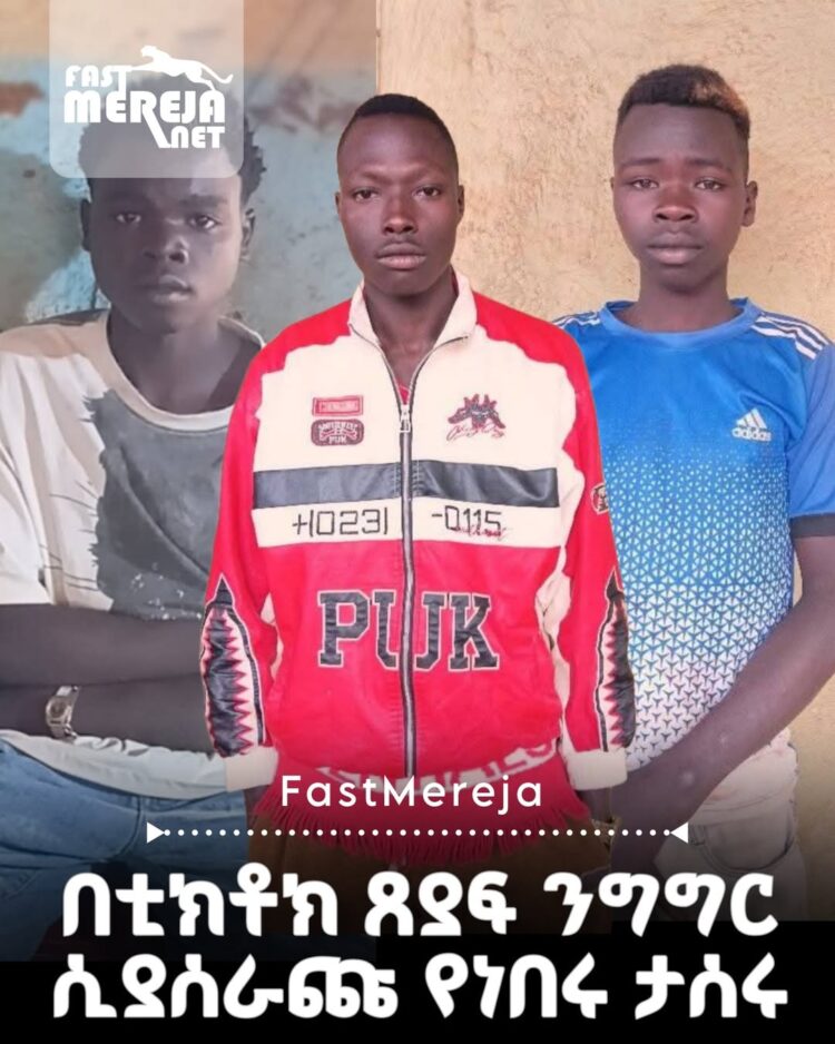 በቲክቶክ ጸያፍ ንግግር ሲያሰራጩ የነበሩ ግለሰቦች በቁጥጥር ስር ዋሉ