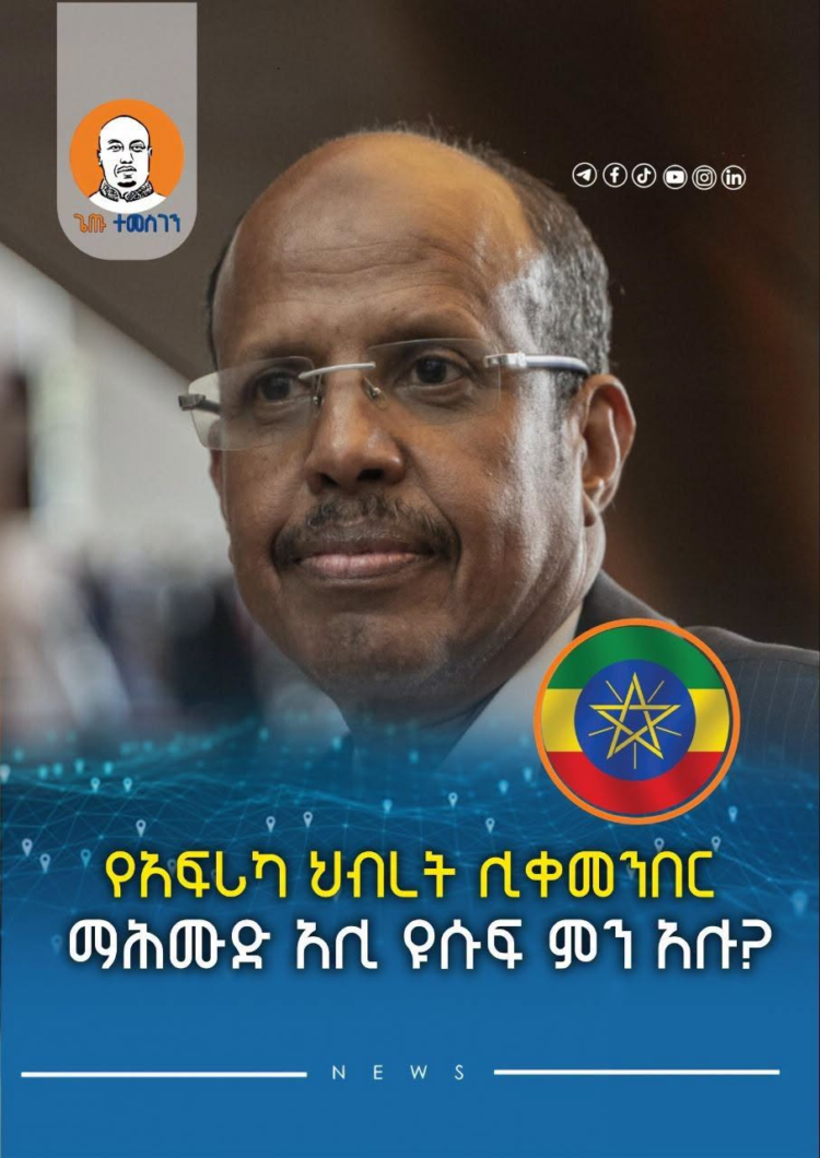 የአፍሪካ ህብረት ሊቀመንበር ማሕሙድ አሊ ዩሱፍ ምን አሉ?