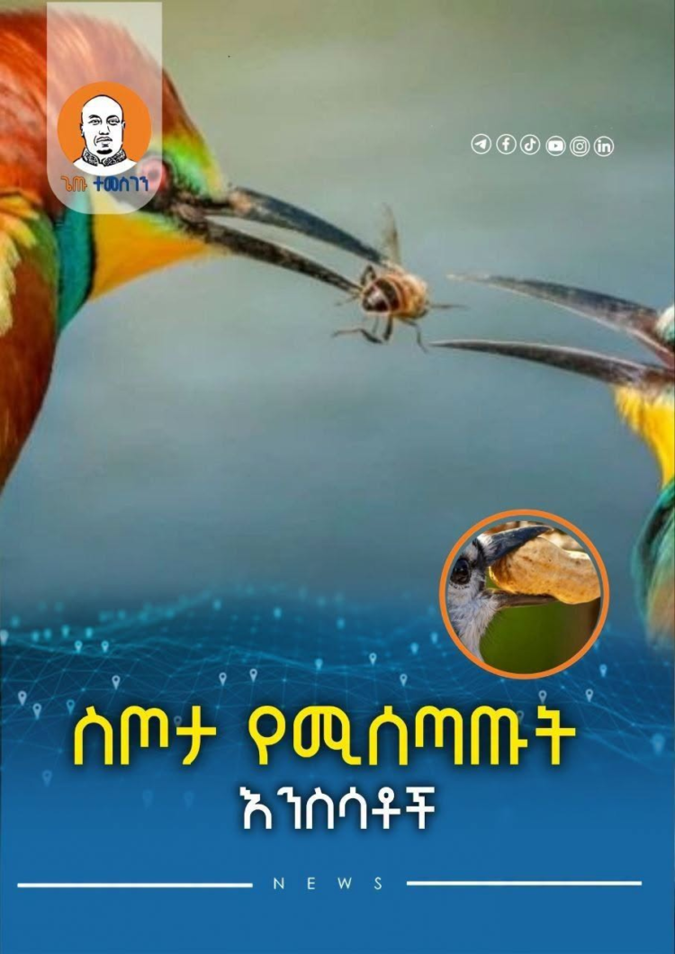 ስጦታ የሚለዋወጡት እንስሳቶች