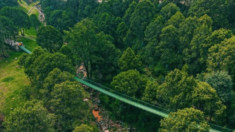 #Ethiopia | እንጦጦ እስከ ቀበና የወንዝ ዳርቻ ሲገለጥ