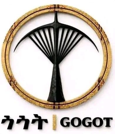 ታዛቢዎቼ ተደብድበዋል-ጎጎት#የምርጫ ታዛቢዎች ድብደባ እንደተፈጸመባቸው ጎጎት ፓርቲ ከሰሰ!!!በማእከላዊ ኢትዮጵያ ወልቂጤ ምርጫ…