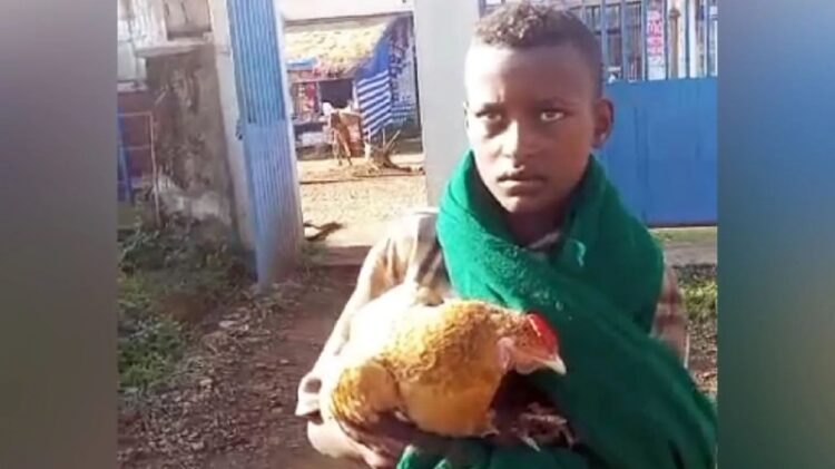 የታመመች ዶሮውን ለማሳከም ወደ ሰው ሆስፒታል የገሰገሰው የ12 ዓመቱ ኢትዮጵያዊ ታዳጊበአማራ ክልል ደንበጫ ከተማ የሚኖረው የ…