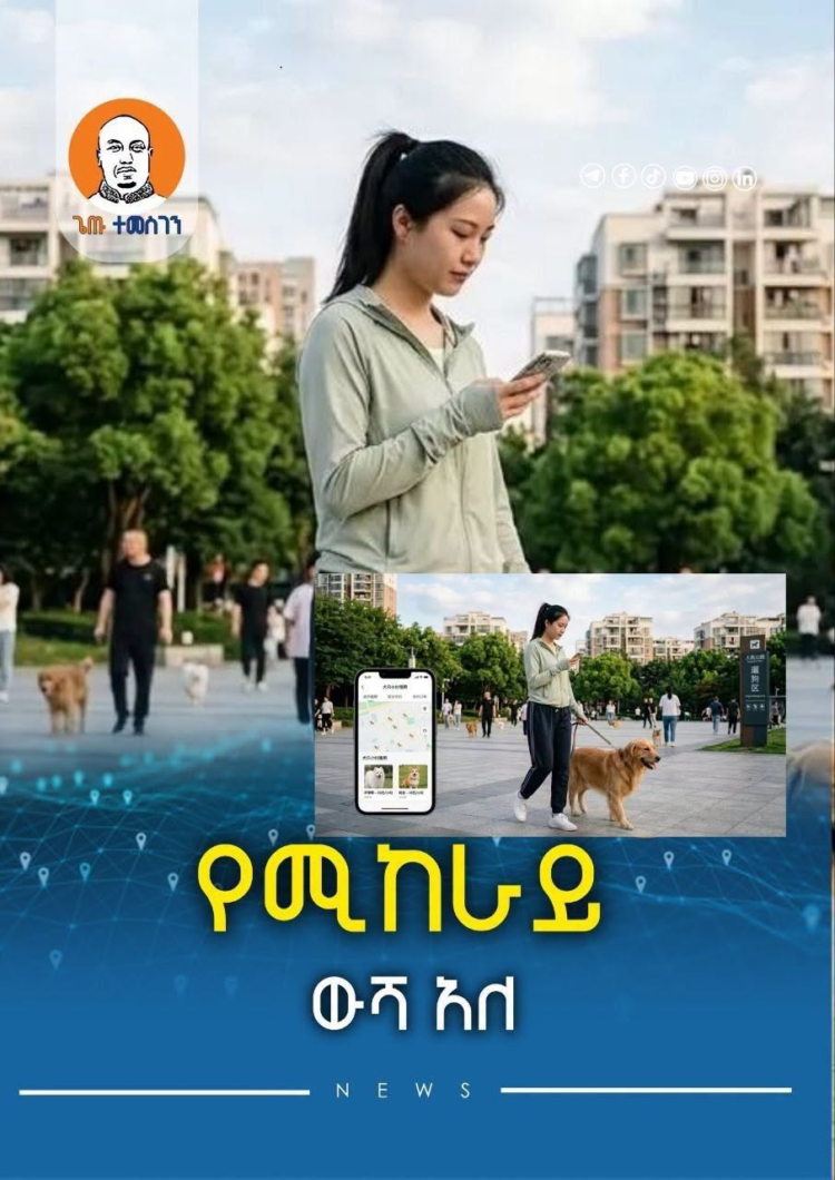 * የሚከራይ ውሻ አለ!