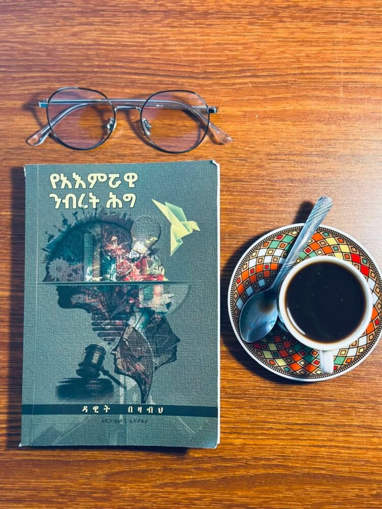 አዲስ መጽሐፍ | የአእምሯዊ ንብረት ሕግ