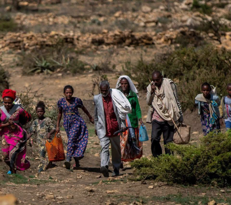 የፌደራል መንግሥት በትግራይ ክልል ሕግ በማስከበር የሕዝቡን ሰላምና ደኅንነት ማረጋገጥ እንዳለበት ተገለጸ