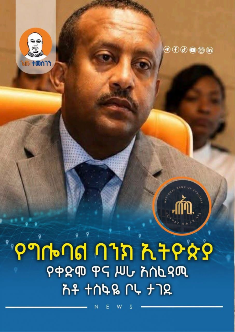 የግሎባል ባንክ ኢትዮጵያ የቀድሞ ዋና ሥራ አስፈጻሚ አቶ ተስፋዬ ቦሩ ታገዱ