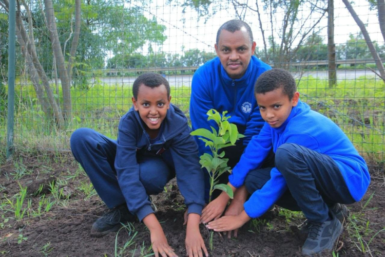 ለአየር ንብረት ለውጥ መቋቋም እና ለጤና ምርምር የተተከለው አረንጓዴው ተስፋ