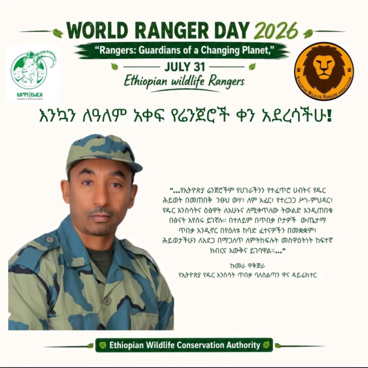 ዓለም አቀፍ የሬንጀሮች ቀን “ሬንጀሮች፡- ተለዋዋጭ ለሆነችው ፕላኔት ጠባቂዎች” በሚል መሪ ቃል ተከበረ