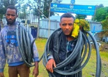 በቢሾፍቱ የኢትዮ ቴሌኮም የመሰረተ ልማት አውታር ላይ ዘረፋ የፈጸሙ ግለሰቦች በእስራት ተቀጡ በቢሾፍቱ ከተማ አስተዳደር ጨለለቃ…