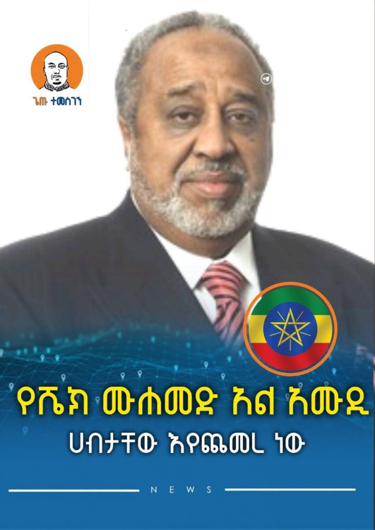 የሼክ ሙሐመድ አል አሙዲ ሀብታቸው እየጨመረ ነው