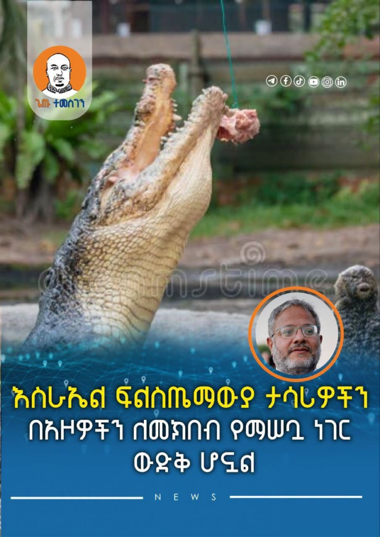 እስራኤል ፍልስጤማውያን ታሳሪዎችን በአዞዎችን ለመክበብ የማሠቧ ነገር ውድቅ ሆኗል