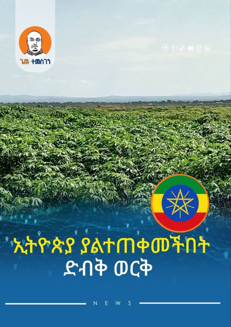 ኢትዮጵያ ያልተጠቀመችበት ድብቅ ወርቅ