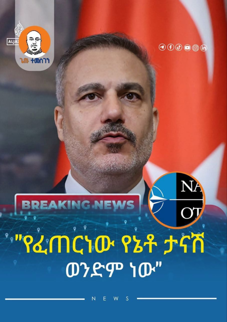 የፈጠርነው የኔቶ ታናሽ ወንድም ነው
