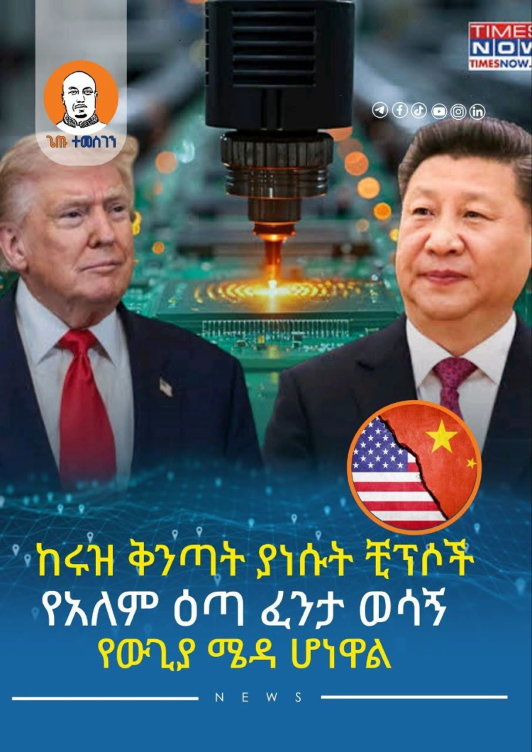 ከሩዝ ቅንጣት ያነሱት ቺፕሶች የአለም ዕጣ ፈንታ ወሳኝ የውጊያ ሜዳ ሆነዋል
