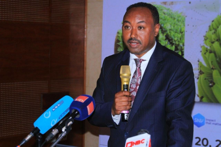 ሀገር አቀፍ የሙዝ ጉባኤ ተካሄደ