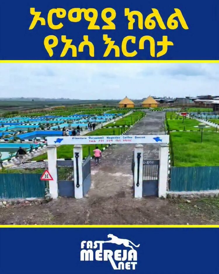 በኦሮሚያ ክልል ጨፌ ዶንሳ የአሳ እርባታ ማዕከል