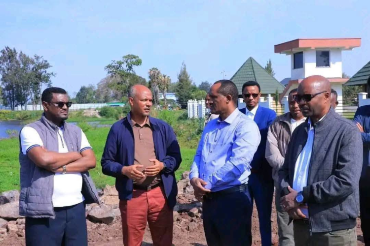 የሐይቅ ዳርቻ ልማት ፕሮጀክት