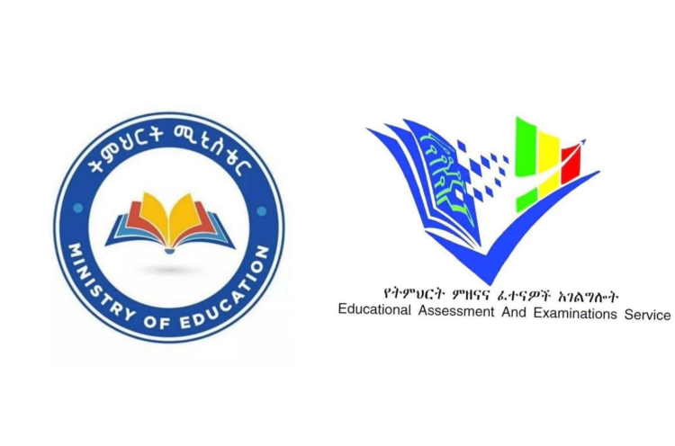 ” ተማሪዎች ከምሽቱ 1፡00 ሰዓት ጀምረው ውጤታቸው ማየት ይችላሉ ” – የትምህርት ምዘናና ፈተናዎች አገልግሎት